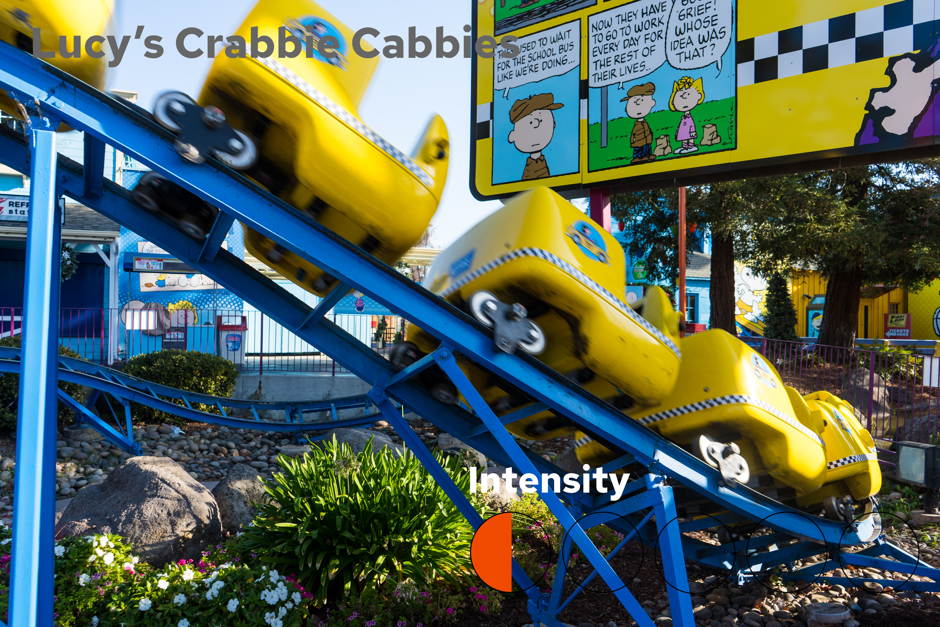 Lucy's Crabbie Cabbies Intensity