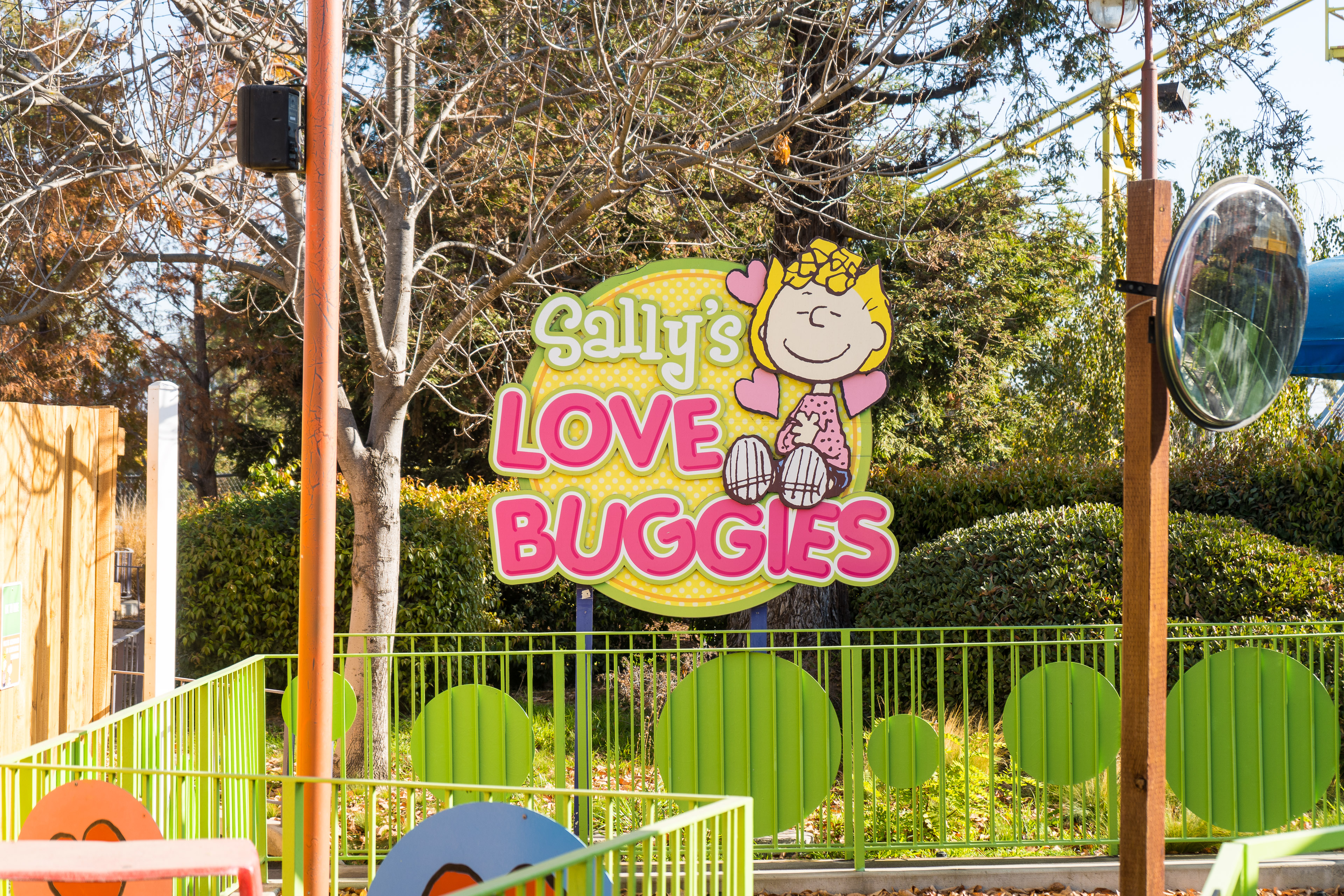 Sally's Love Buggies