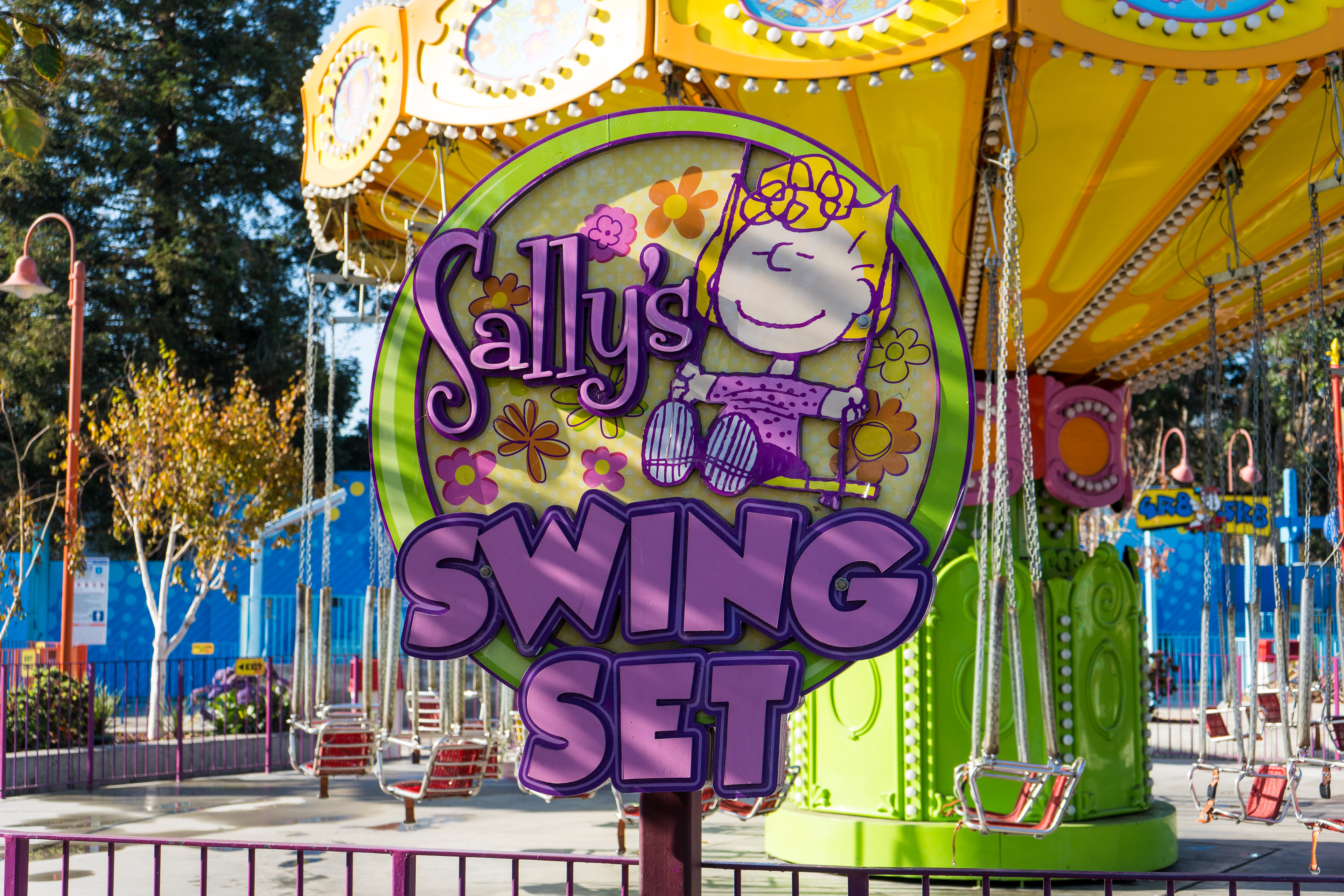 Sally's Swing Set