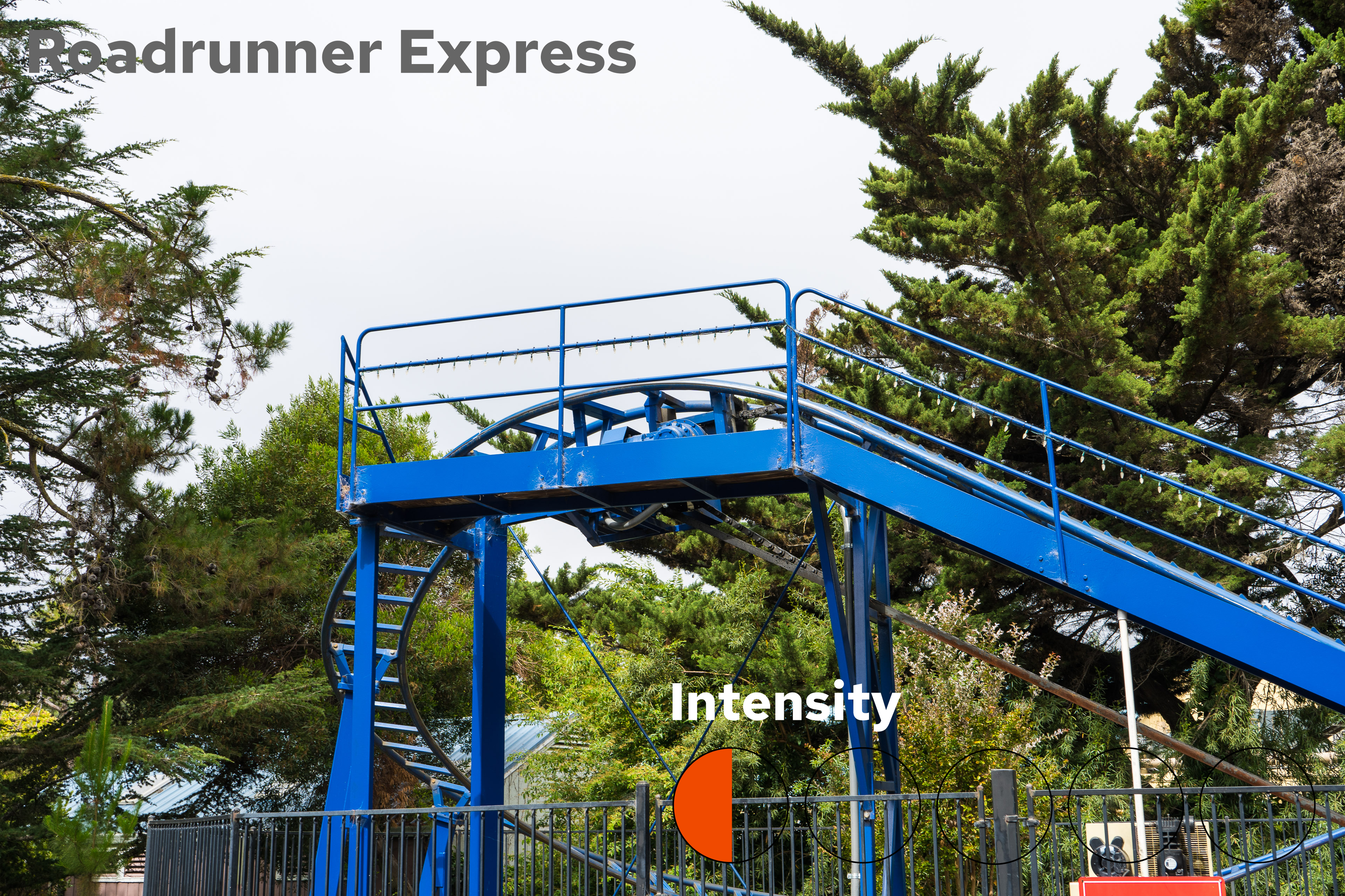 Roadrunner Express Intensity
