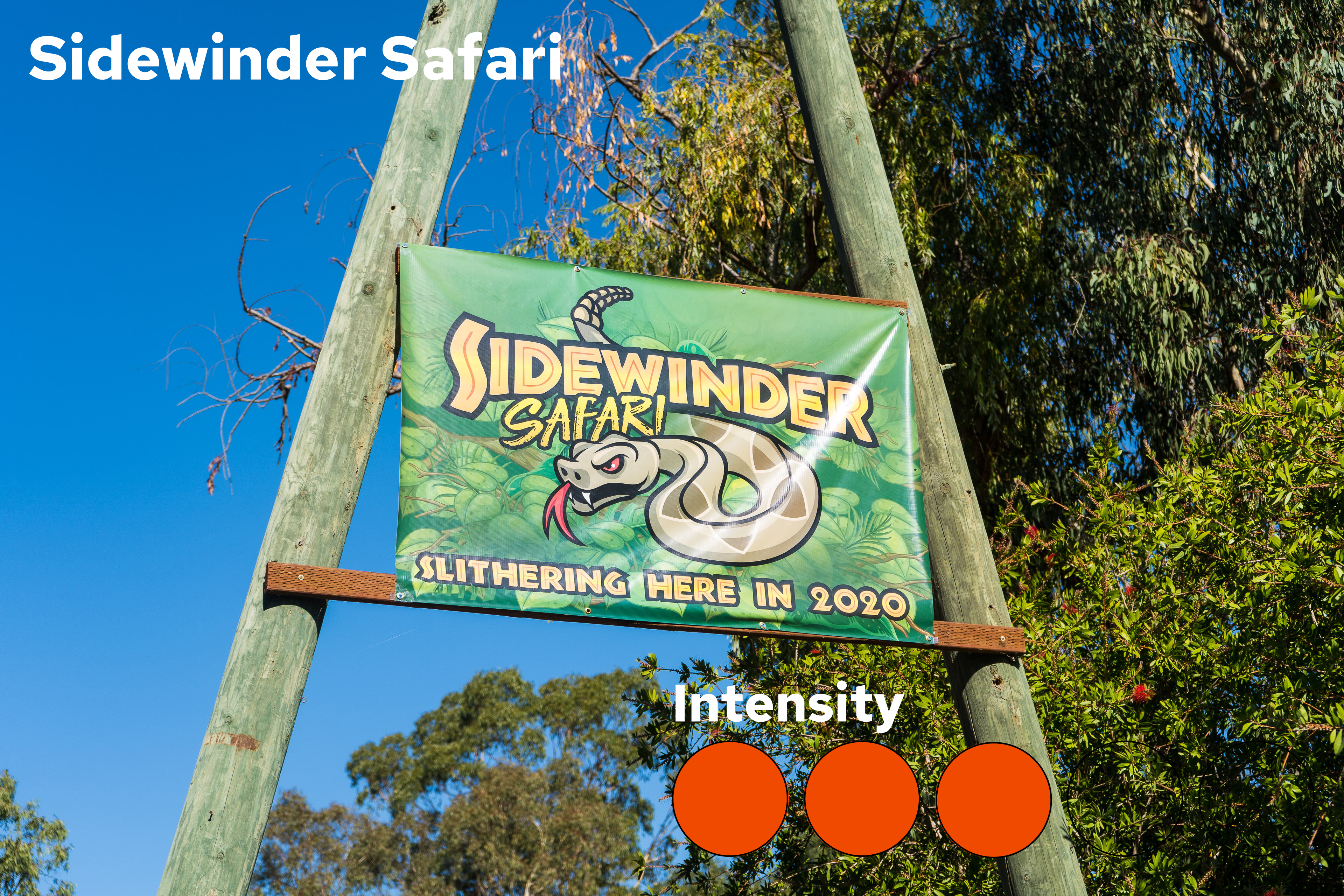 Sidewinder Safari Intensity
