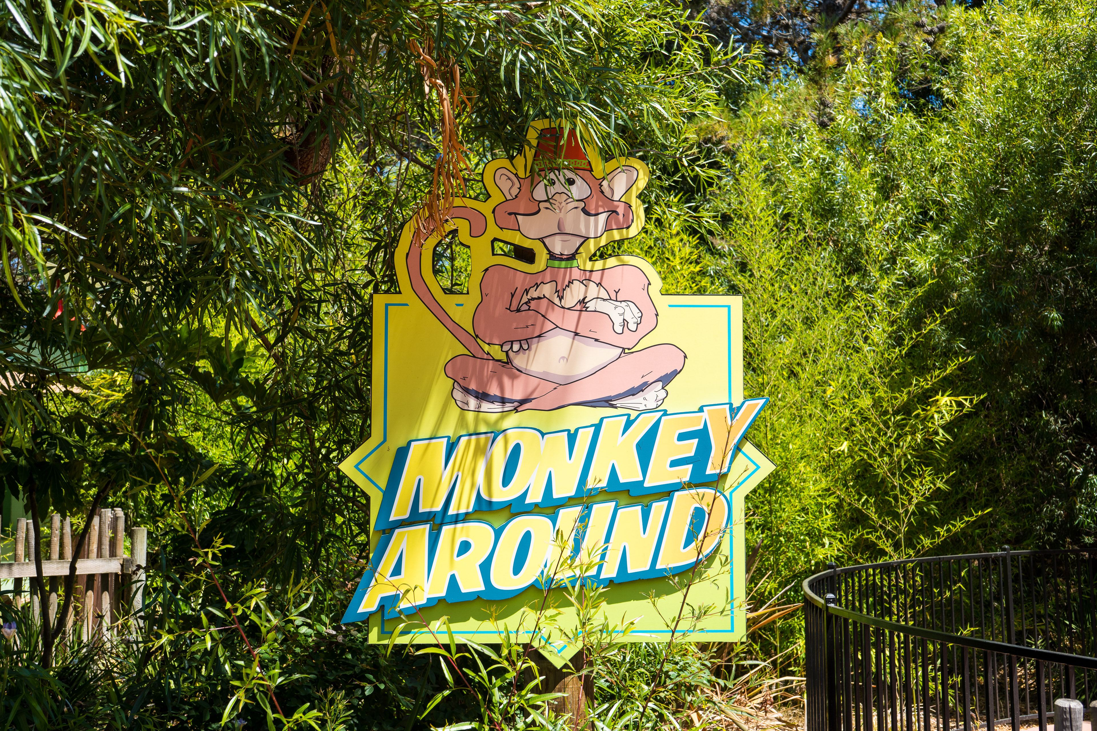 Monkey Around
