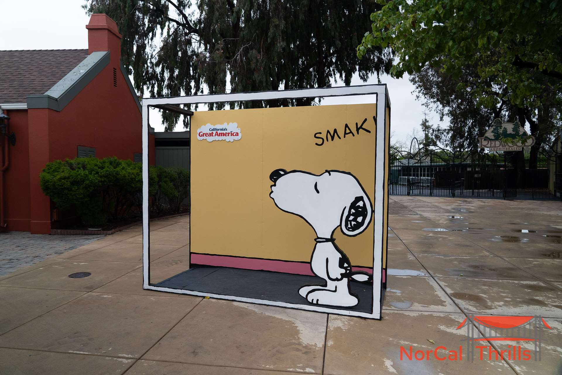 Peanuts Celebration | Decorations and More