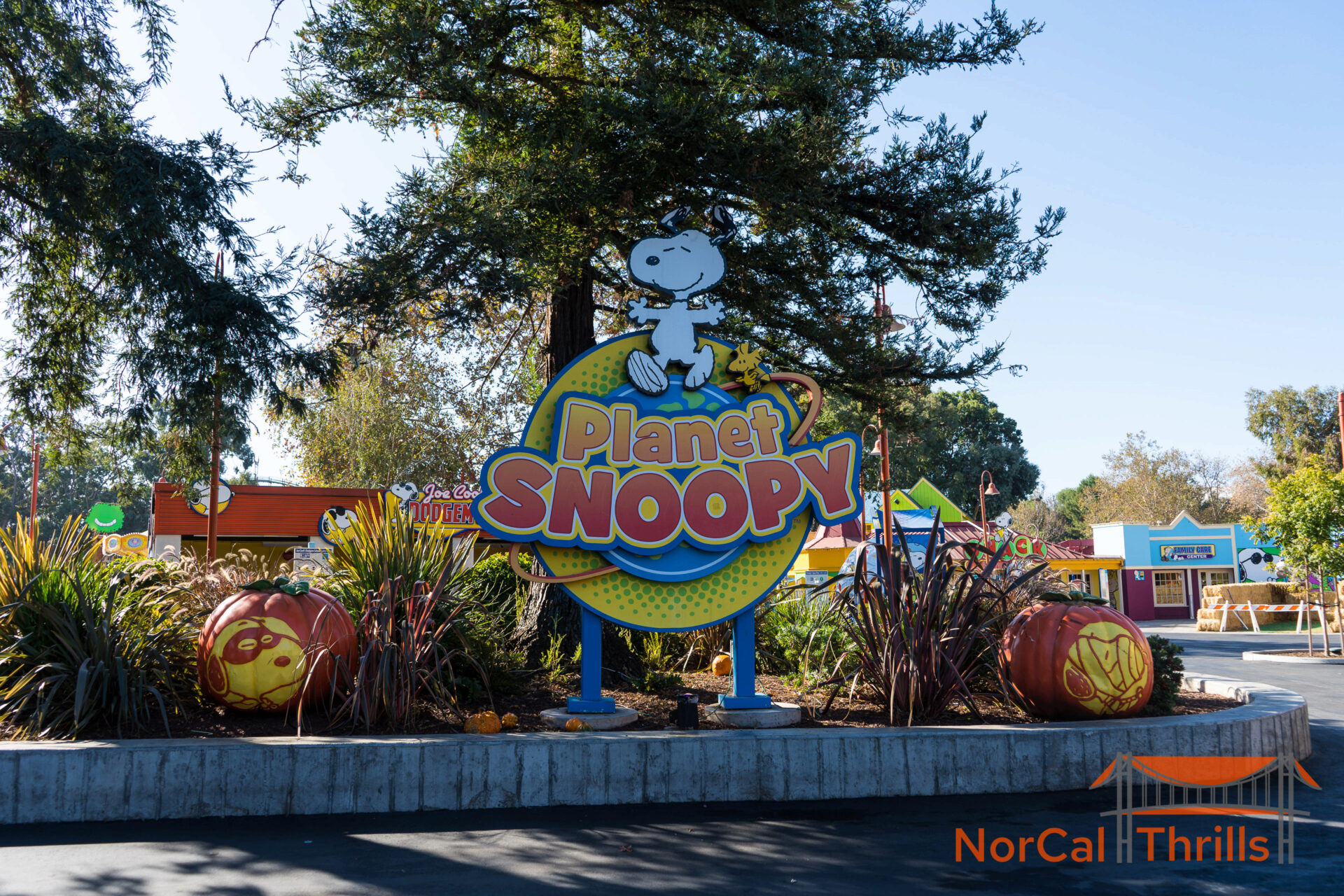 Planet Snoopy Sign