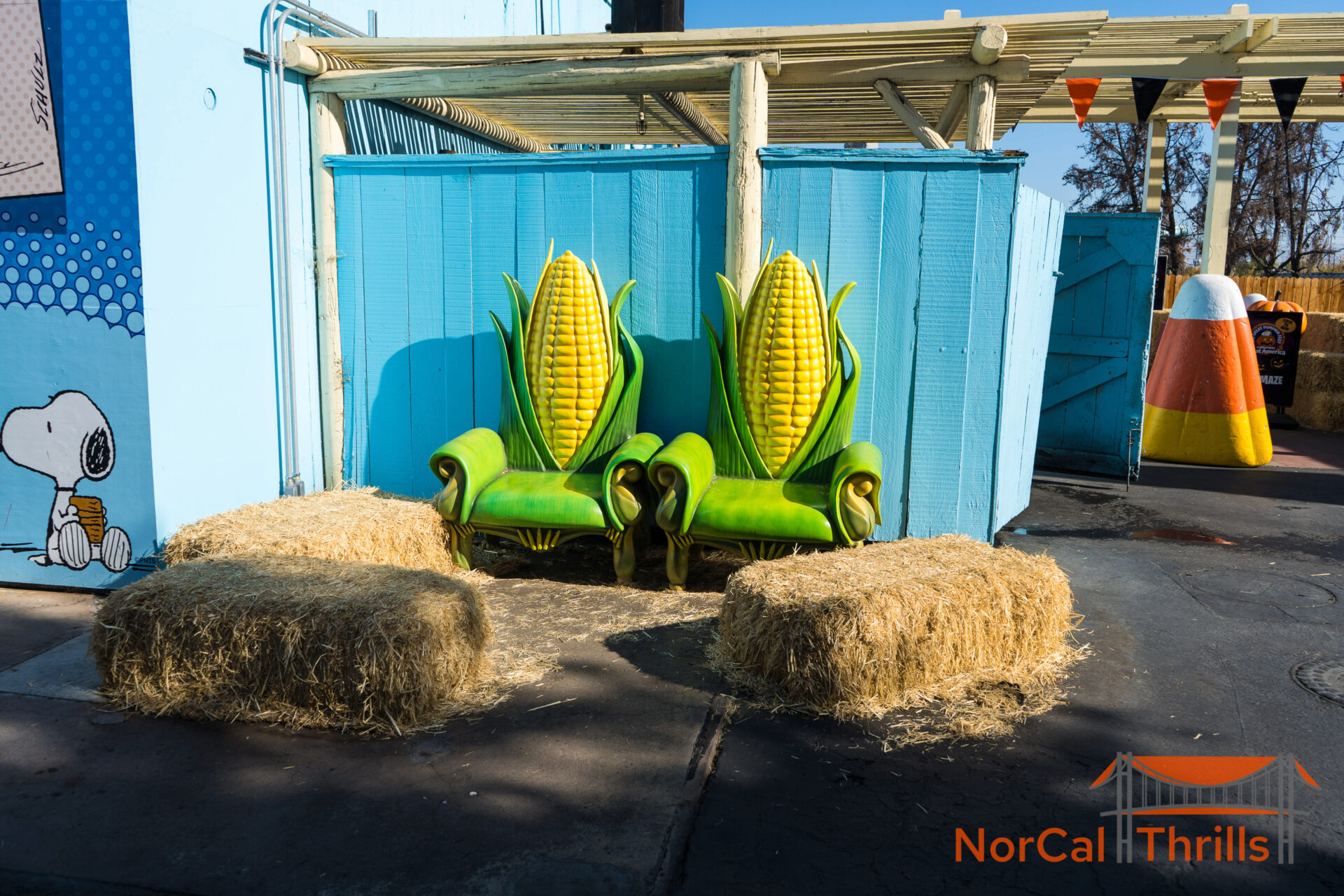 Great Pumpkin Fest Corn Chairs