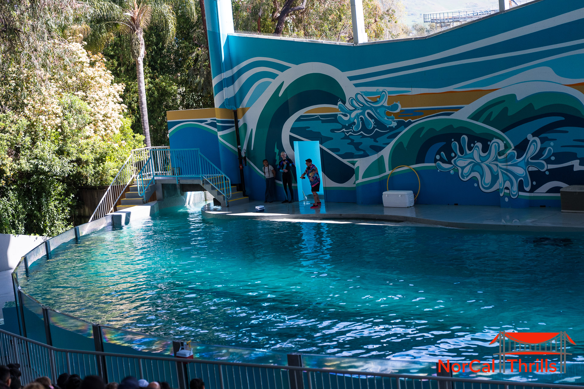 New "So Flippin Fun" Show