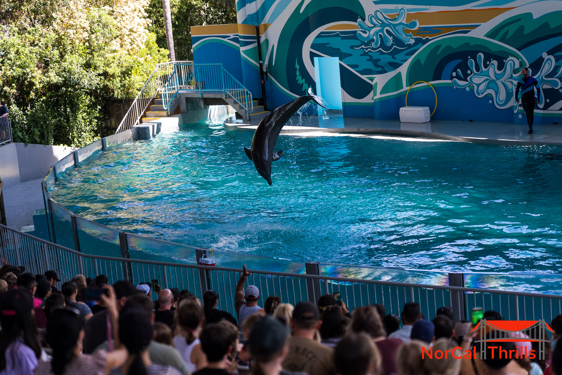 Six Flags Discovery Kingdom Update - March 22nd, 2026