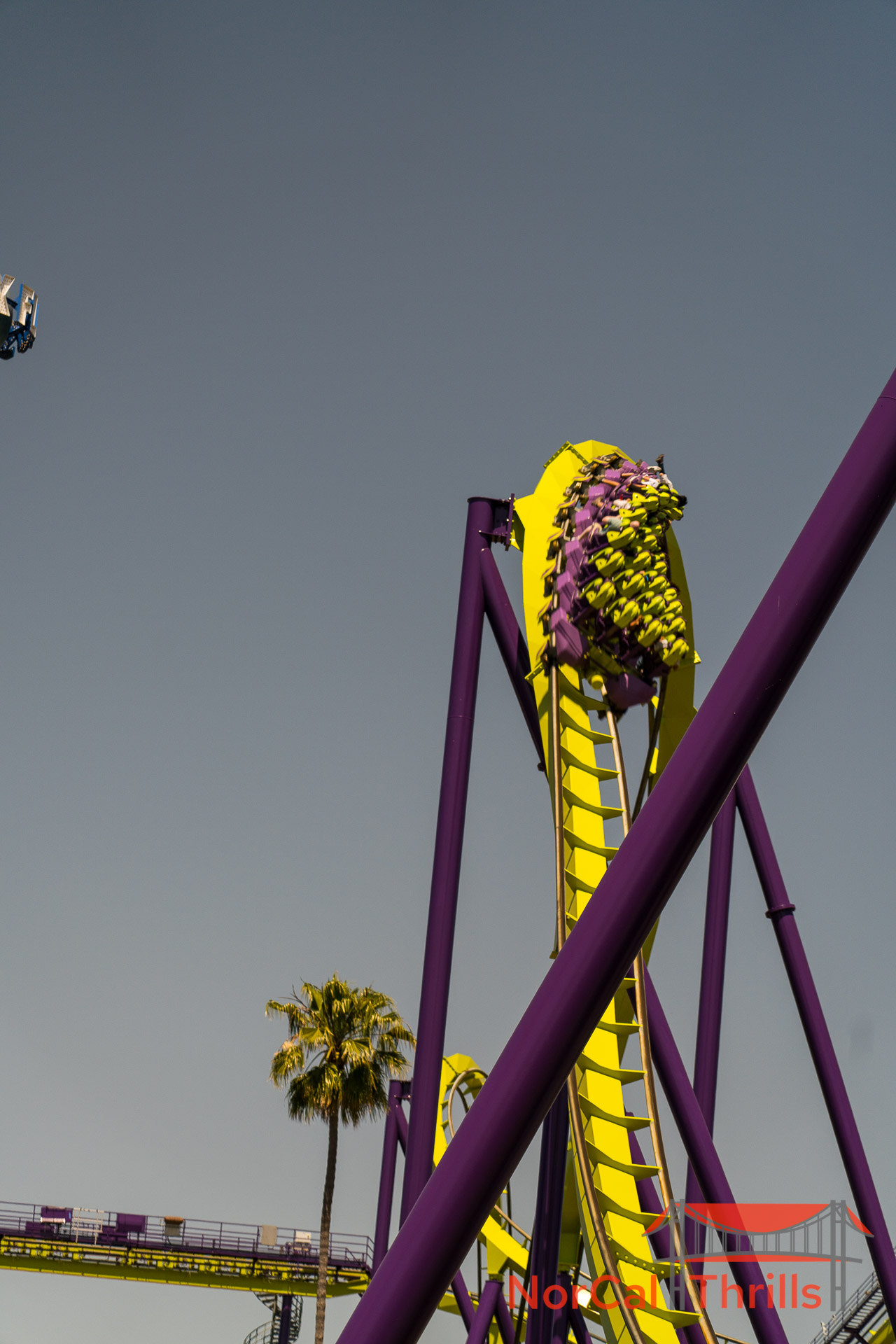 Medusa Is Open Again!