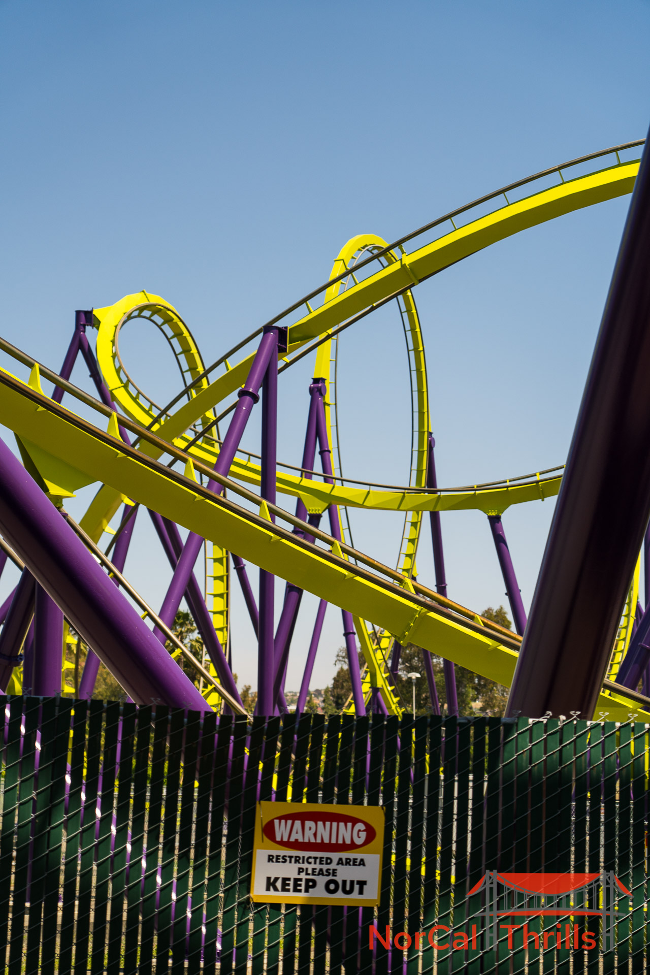 Medusa Is Open Again!