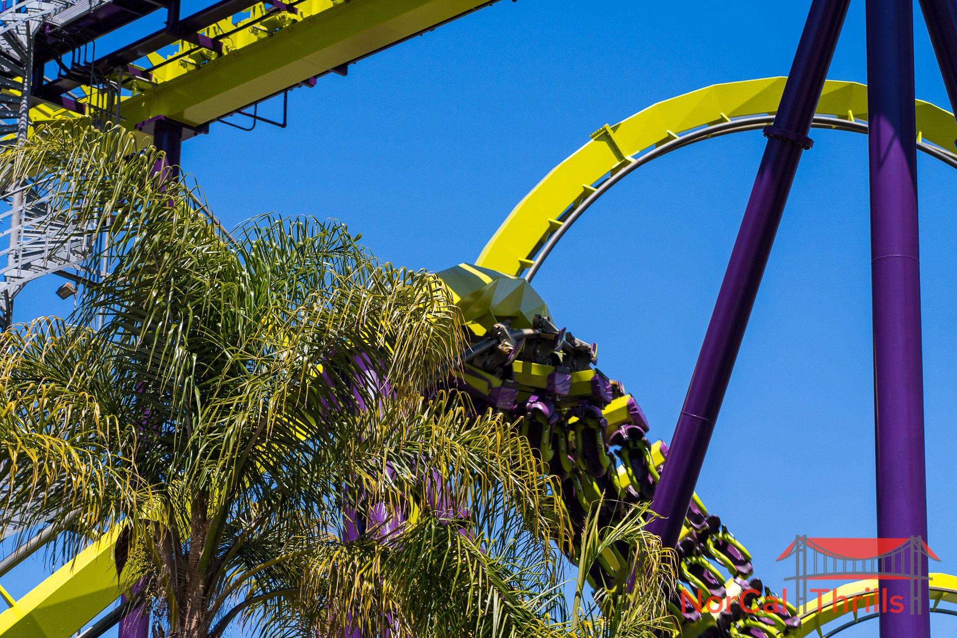 Medusa Is Open Again!