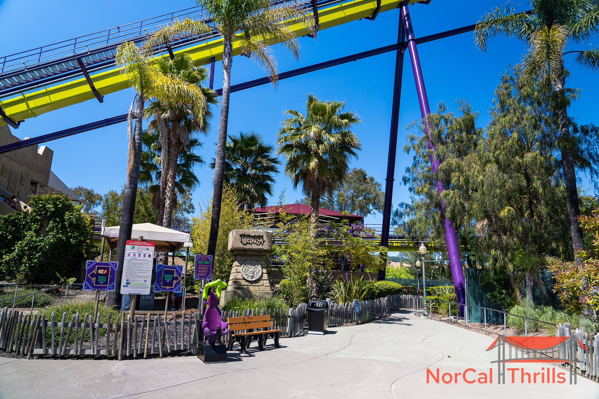 Medusa Is Open Again!