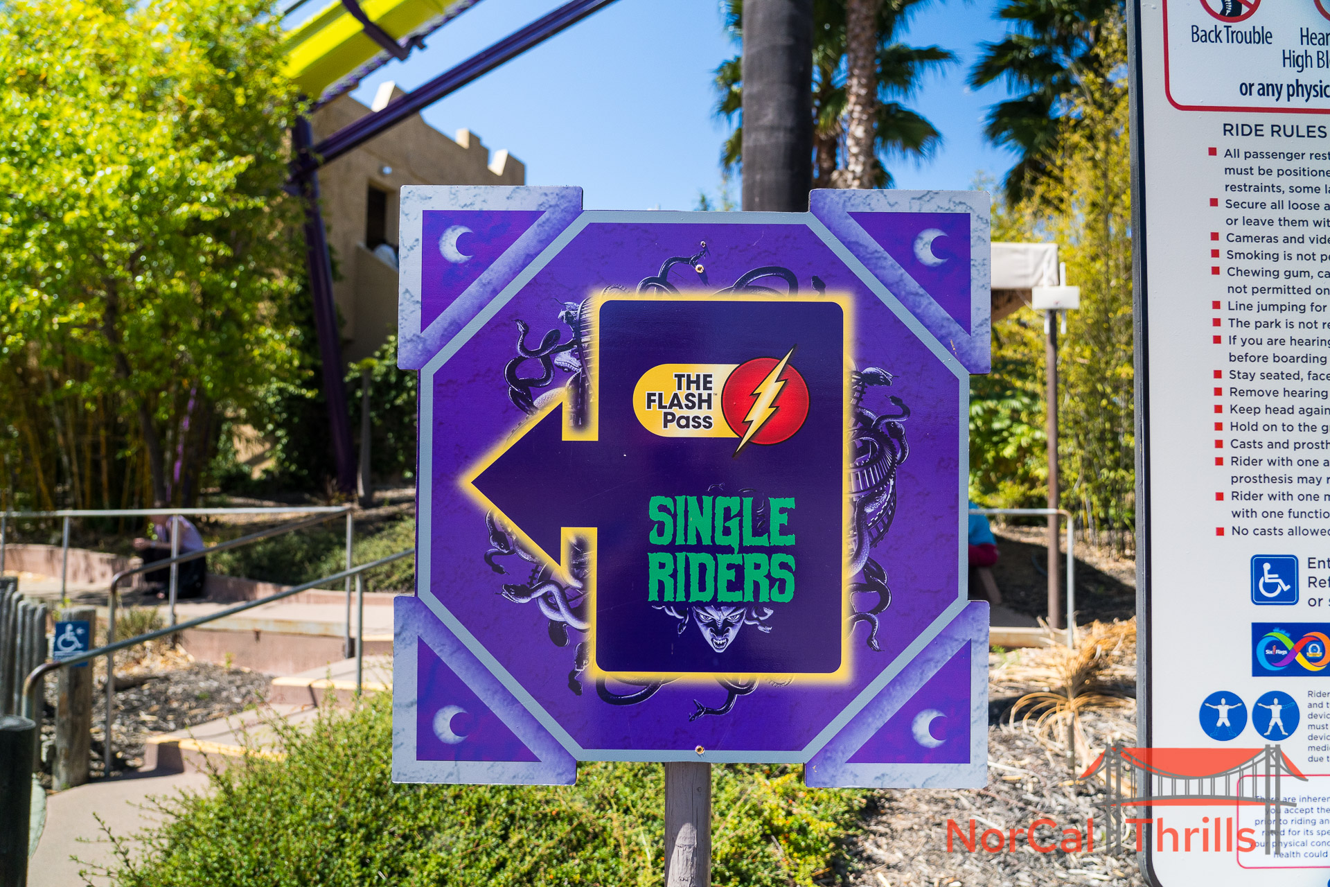 Medusa Is Open Again!
