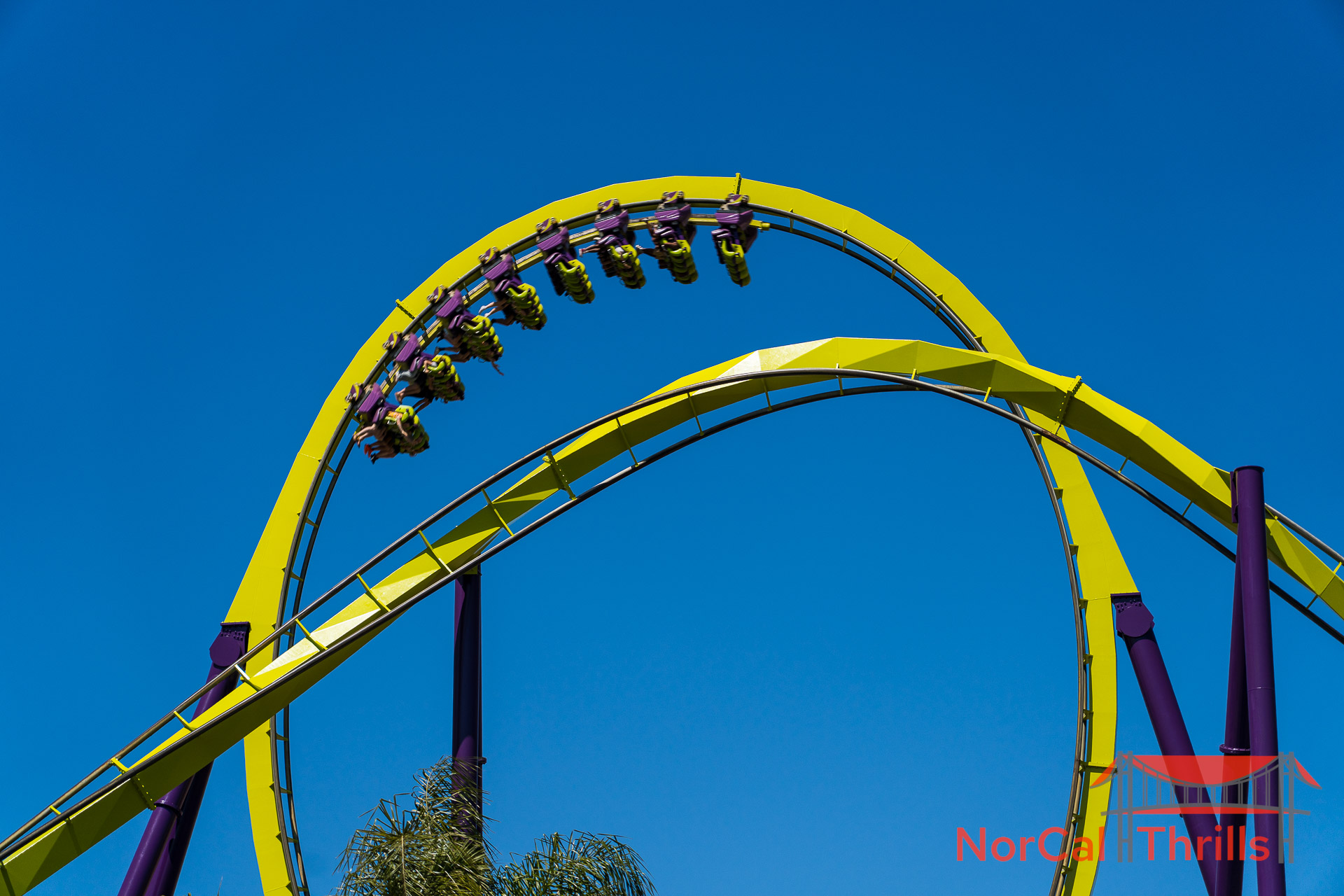 Medusa Is Open Again!