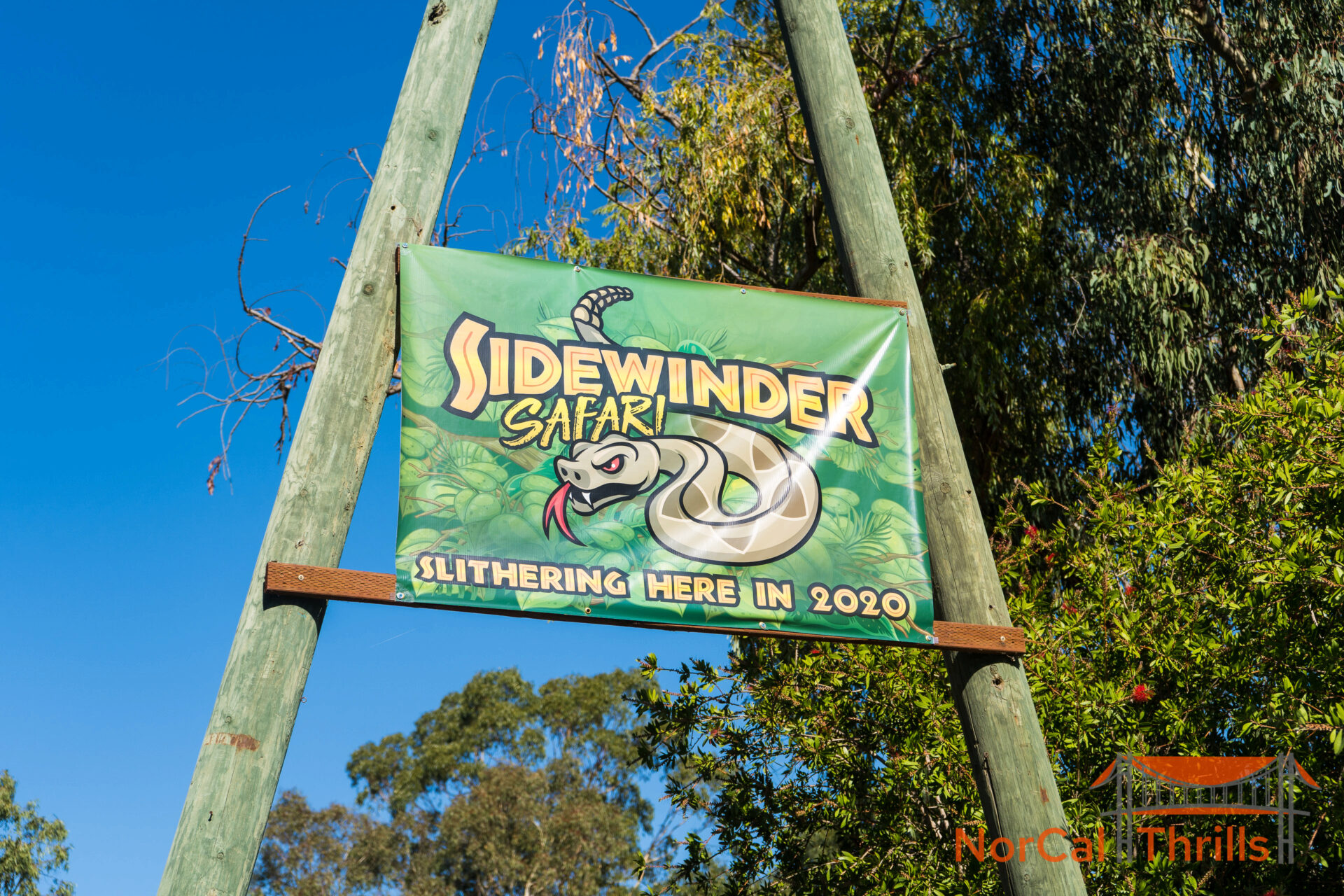 Sidewinder Safari