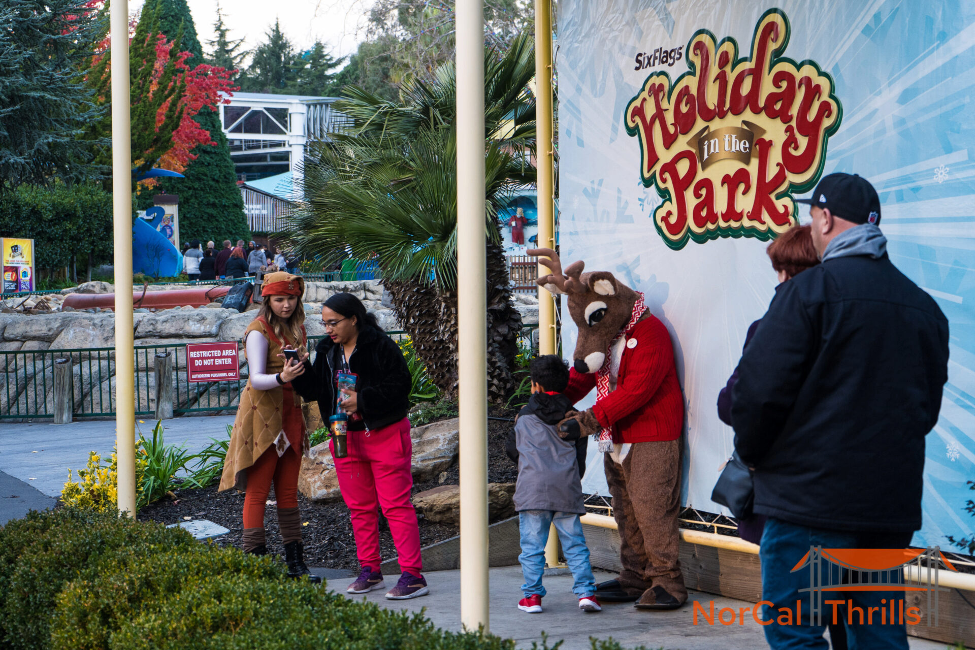Holiday In the Park
