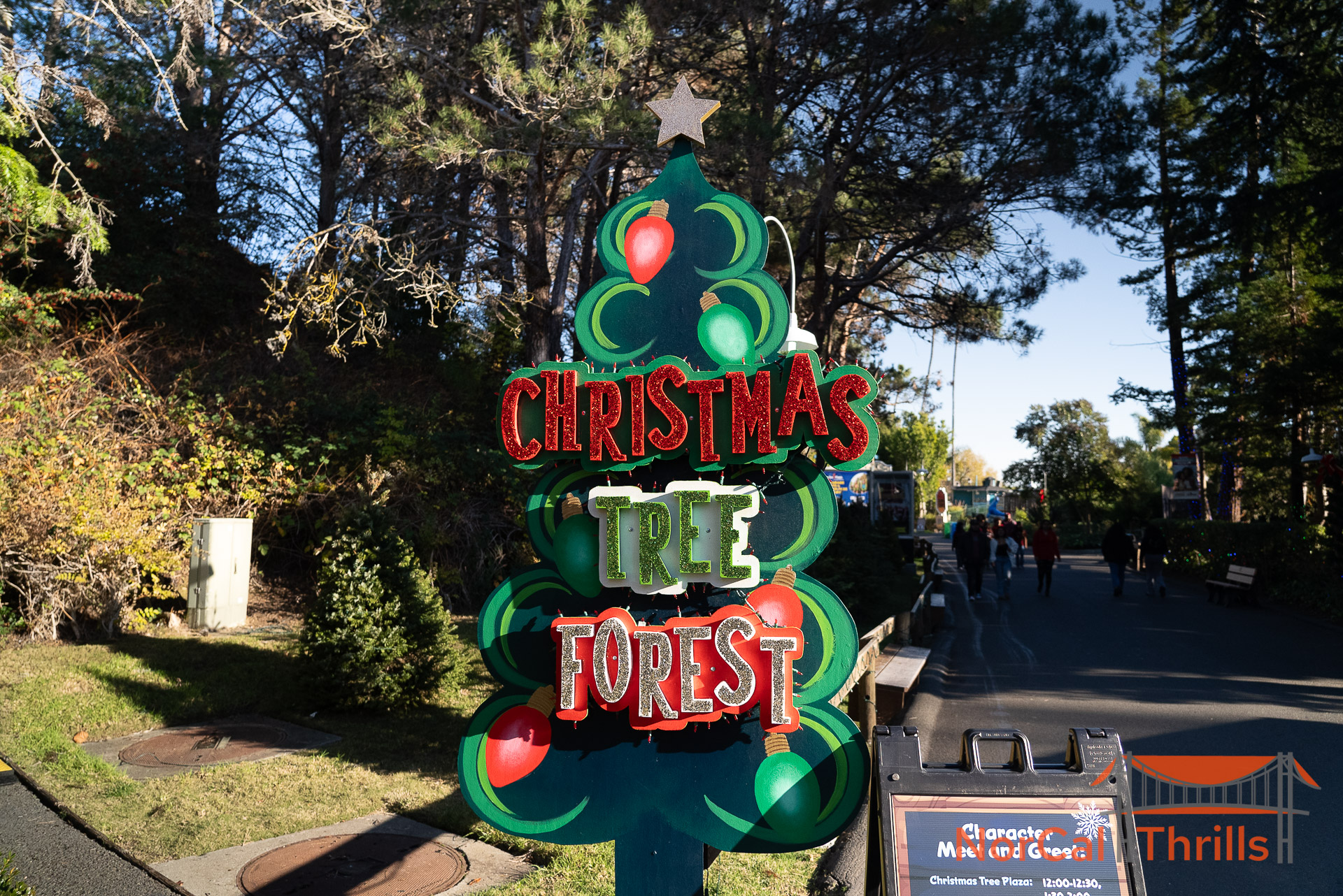 Holiday in the Park | Christmas Tree Forest