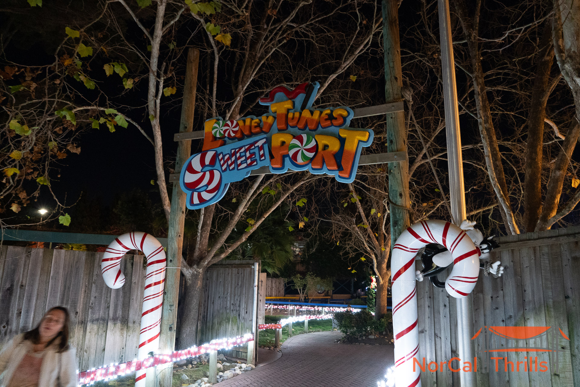 Holiday in the Park | Looney Tunes Sweetport