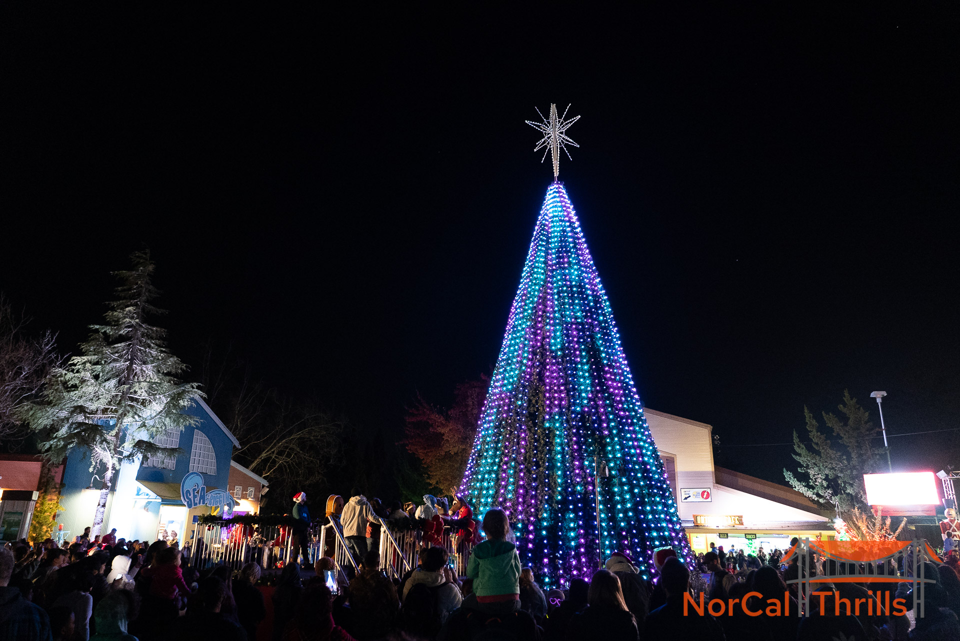 Holiday in the Park | Christmas Tree Plaza